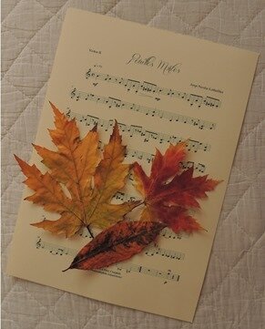 feuilles 1