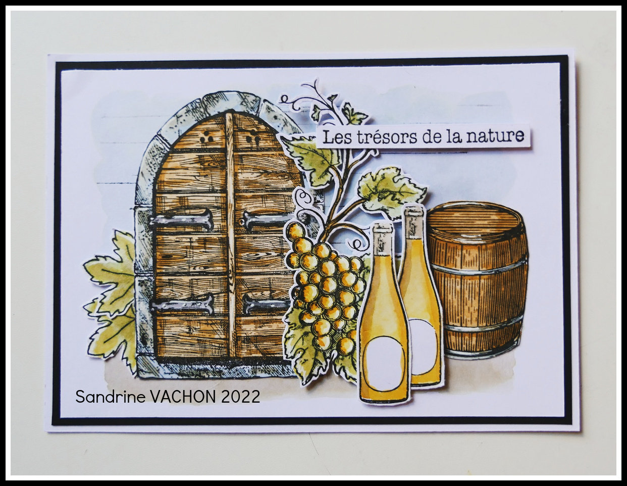 Sandrine VACHON 754 dt PCC (1)