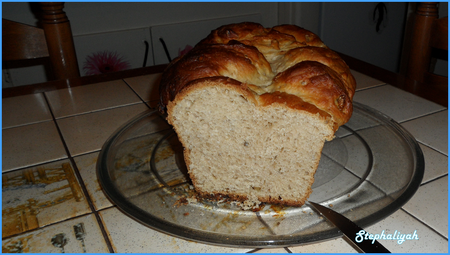 Brioche_au_miel_et_aux_noix____6