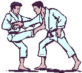 karate_13