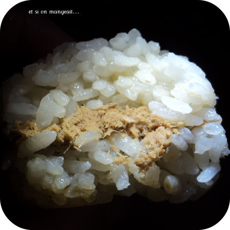 Moule à onigiri recettes legumes Tofu et onigiri, bento pastel