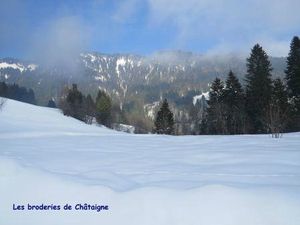 Les Granges - La Tonnaz (4)