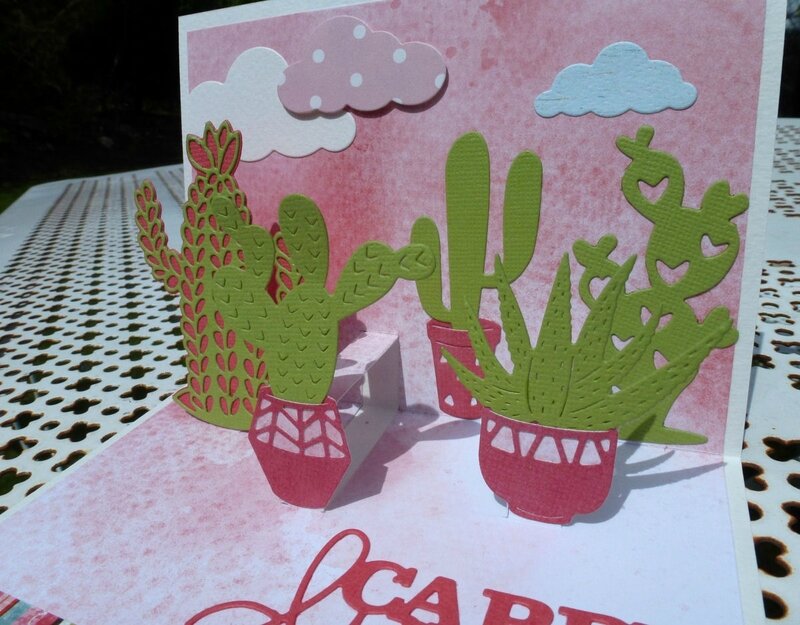 Pop-up-cactus3