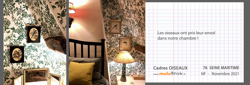 21-11-CADRES-OISEAUX-muluBrok