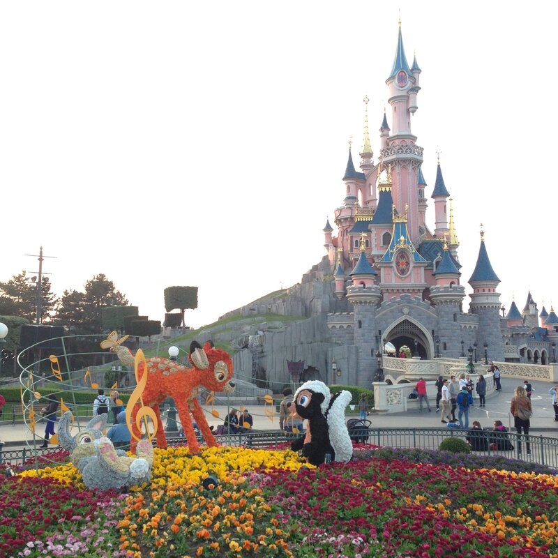 Chateau et Bambi