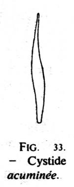 Joss Fig 33