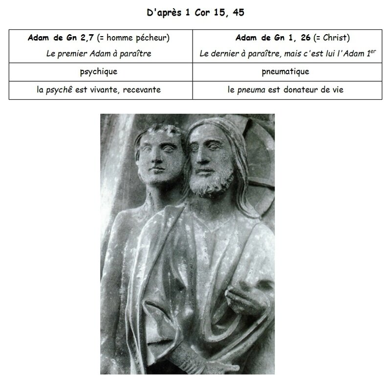 Les deux Adam de 1 Cor 15, 45