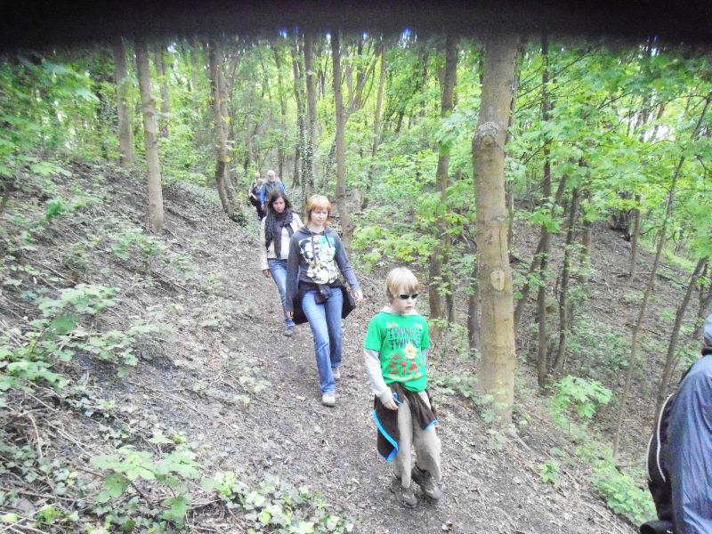 181 - Terril du 6 Hornu-Wasmes - descente