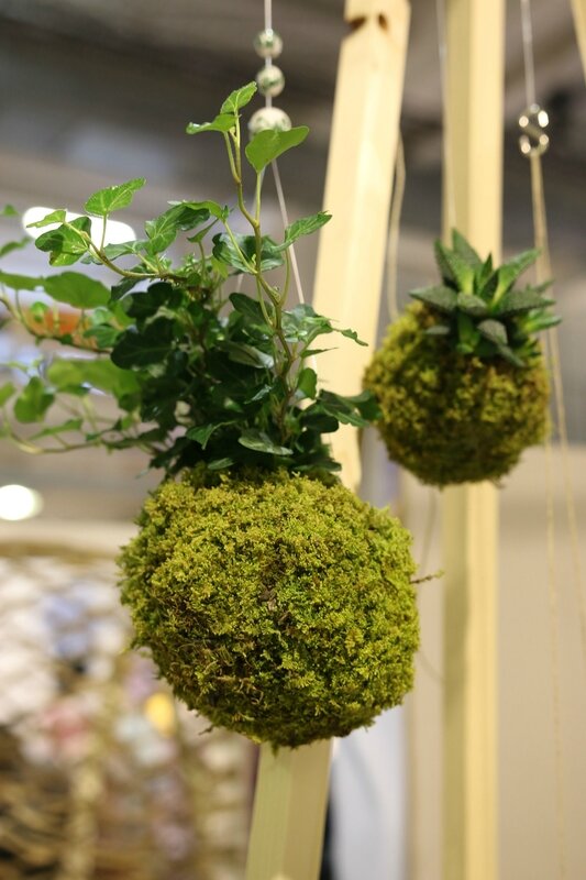 08404322-photo-kokedama-stand-la-fabrique-a-kokedamas-printemps-des-docks-2016