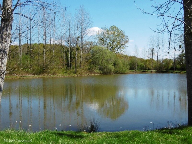 1-Etangs de la Marnière, de Vicq d'Auribat, de St Jean de Lier 280317