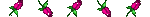 Fleurs_roses_5