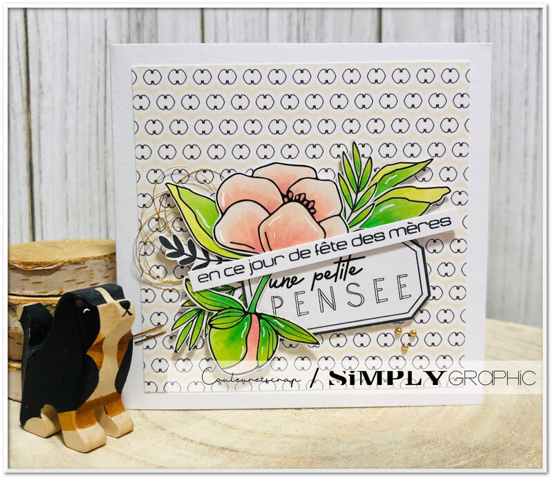 Couleuretscrap_pour_Simply_Graphic_carte_pensée