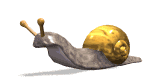 escargot013