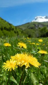 1346- Col La Croix - Sommet Feuillette - Vercors Jarjatte - 27052013 (7)