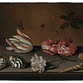 <b>Balthasar</b> <b>van</b> <b>der</b> <b>Ast</b> (Middelburg 1593/94 - 1657 Delft), A tulip, a carnation and roses, with shells and insects, on a ledge