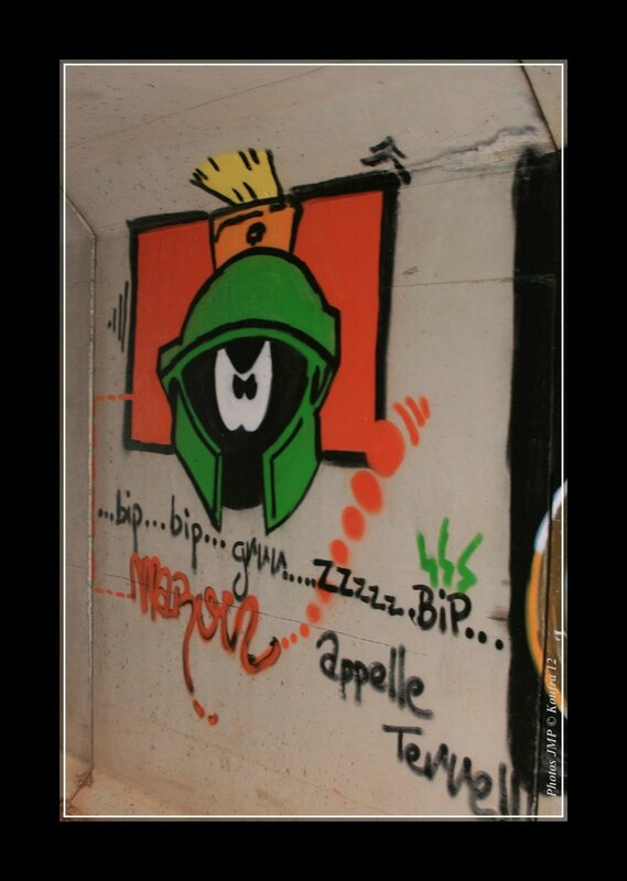 PHOTOS JMP -TAGS 009