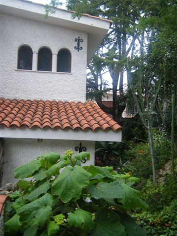 foto varie 619