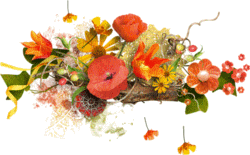 Gif Composition fleurie coquelicotset tulipes 250 Pixels
