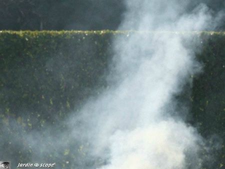 Brûlage des déchets verts au jardin