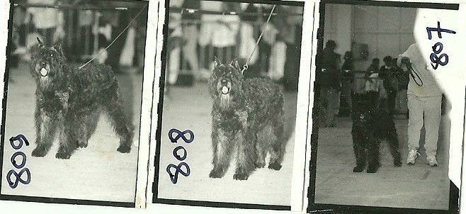 IONA DE LA DULLAGUE il y a 20 ans!!!!