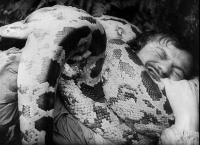 vlcsnap-2020-04-02-18h04m43s412