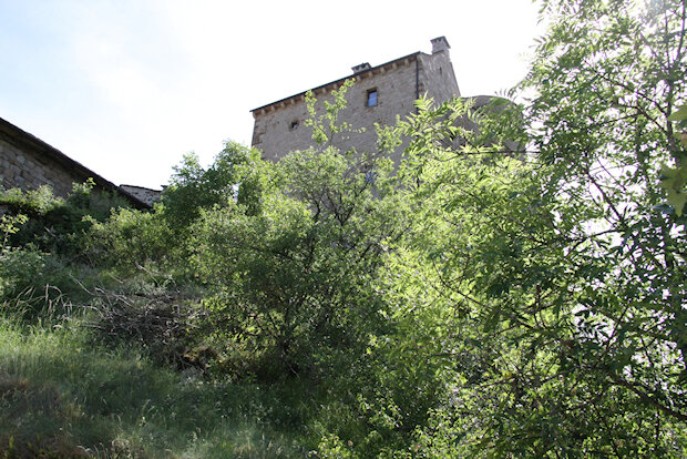 20090604_0057-Château de Miral