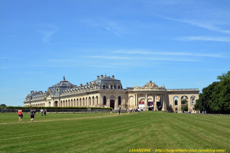 2 chantilly (4)