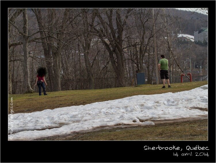 IMG_9932-naturelimages.com