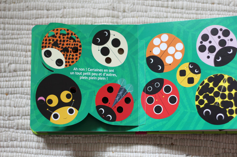 Coccinelle 3