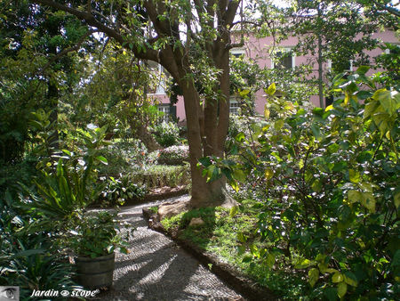 9082_Quinta_Vigia_resid