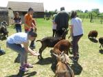 Ferme16mai (37)