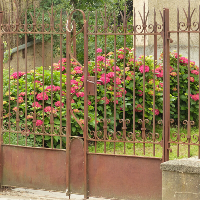 aa les fleurs du quartier5