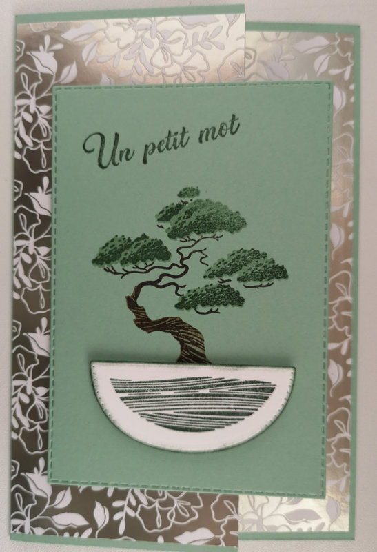 30k Carte ultra simple verticale bonsaï