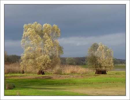 Montier_saules_soleil_191110