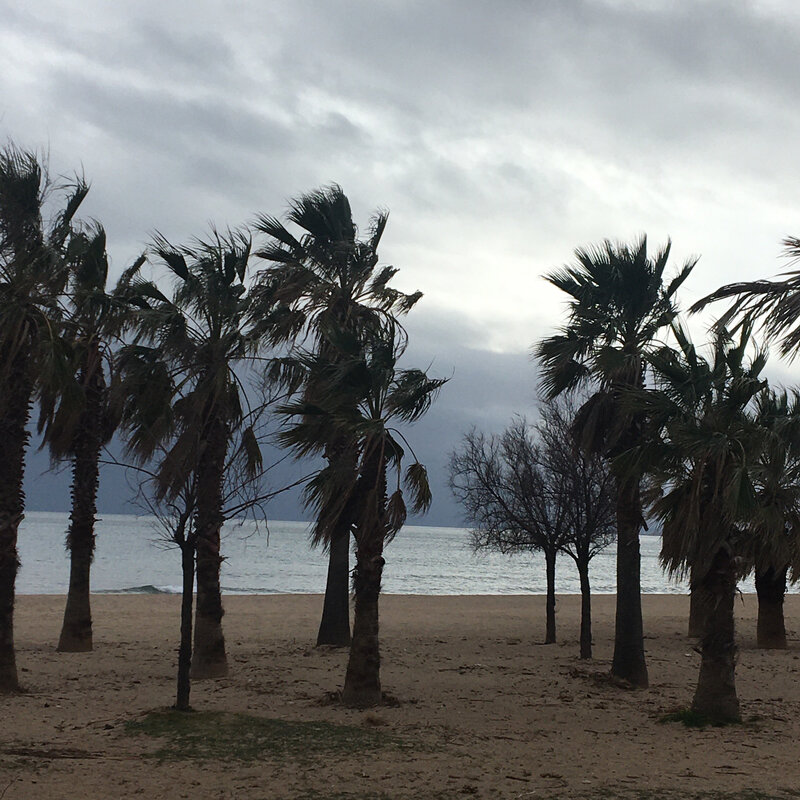 2342AEB5-682F-4C6E-87F5-07D6B188781B