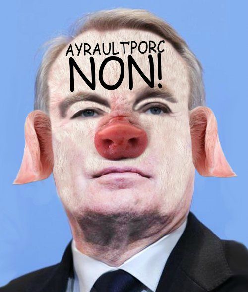 ayrault_porc_NON_-c8e80