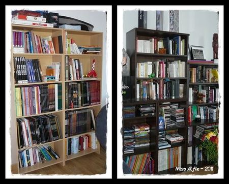 Bibliothèques 2