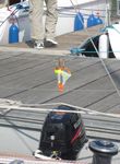 porte-cle-sardine-qui-flotte
