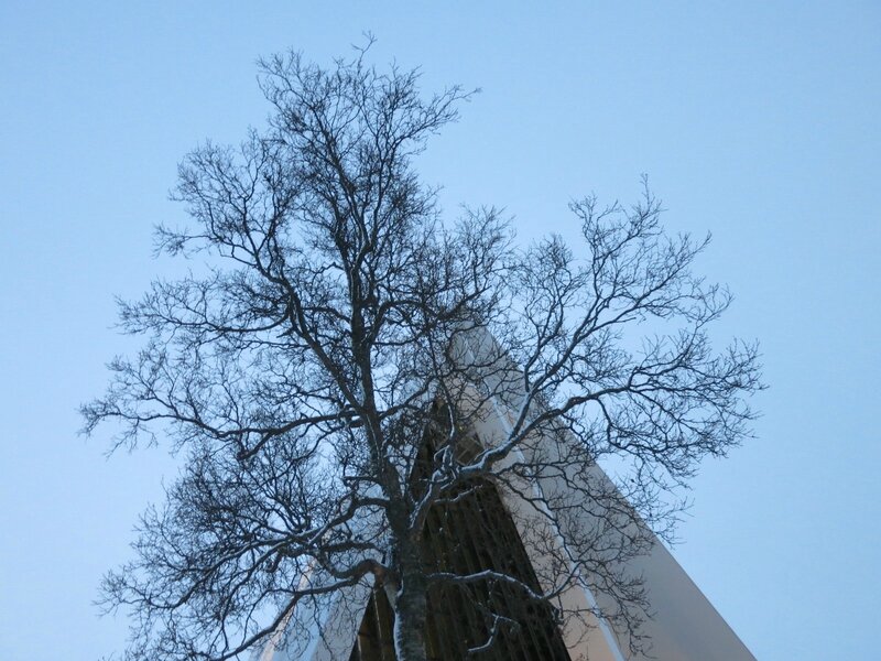 IMG_6756