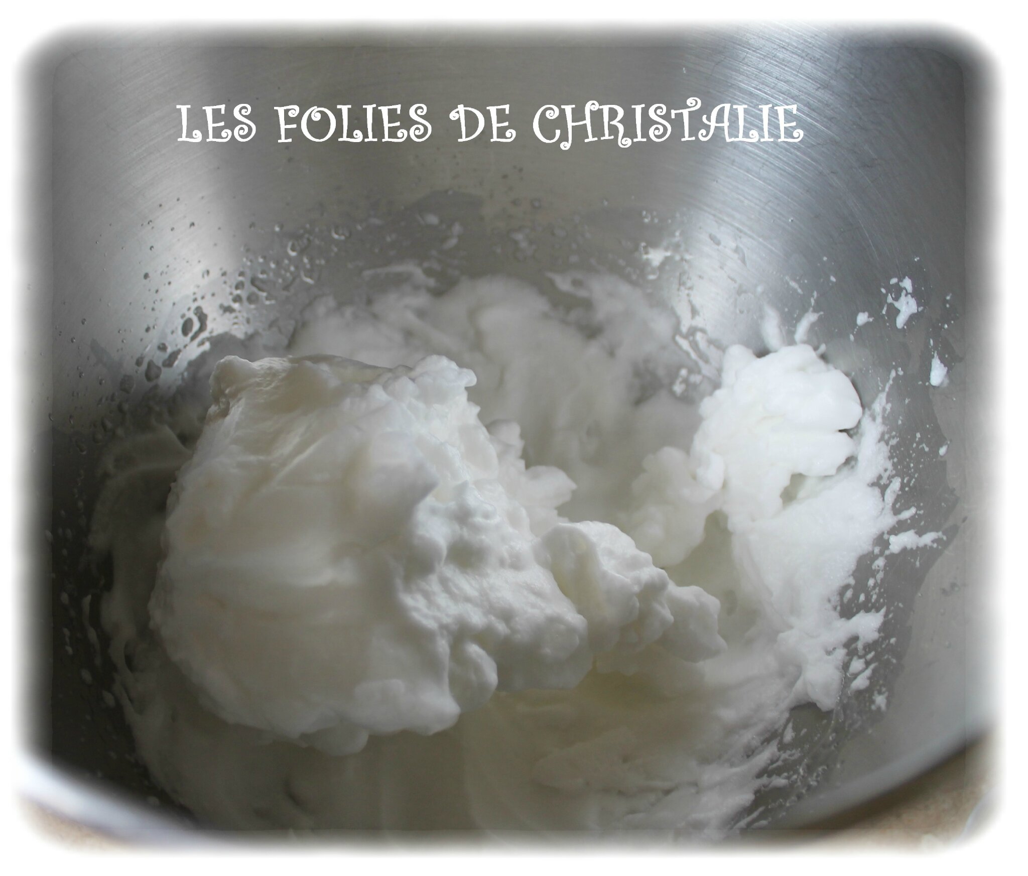 Terrine de poisson 4