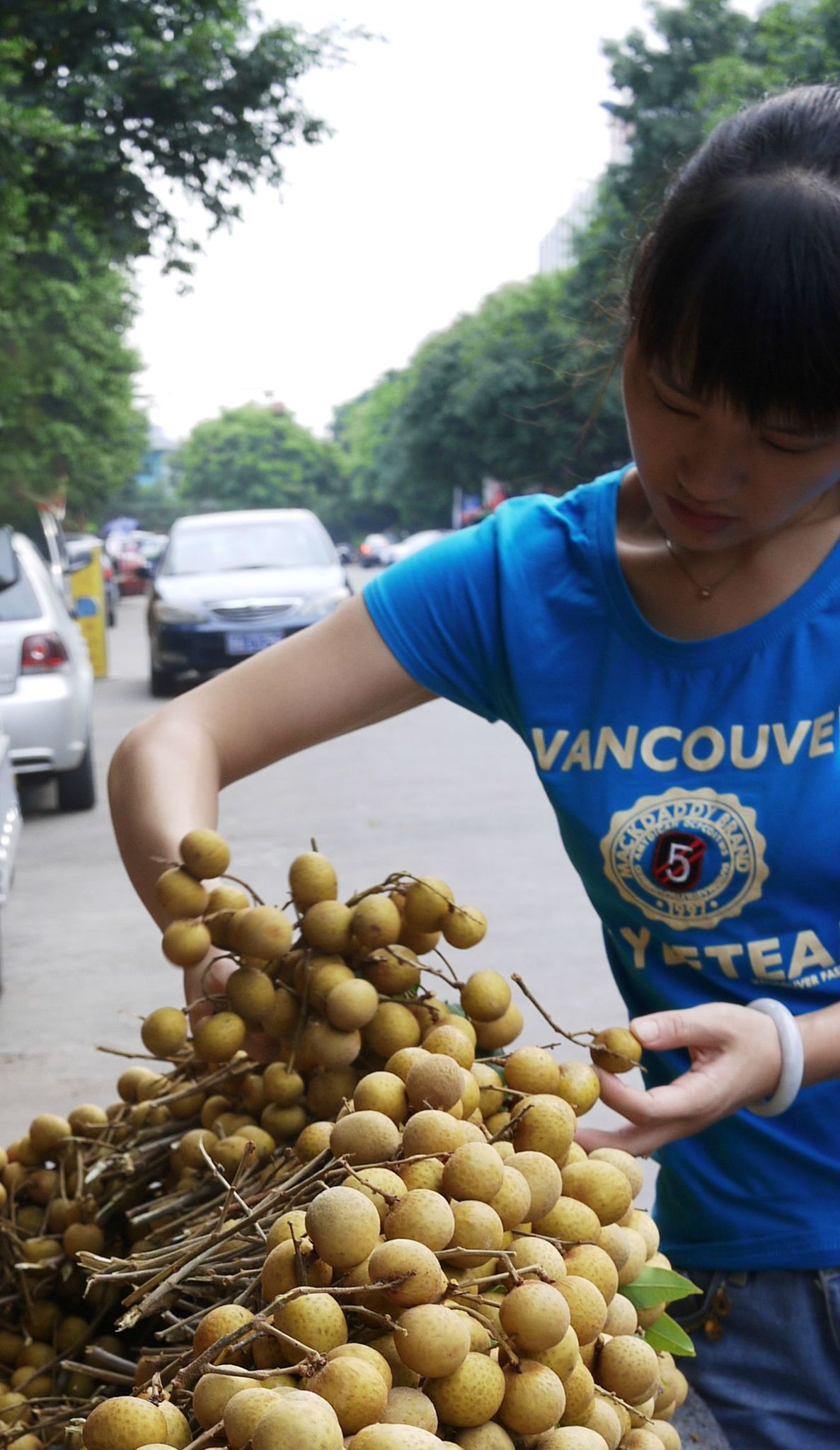 longanvendor