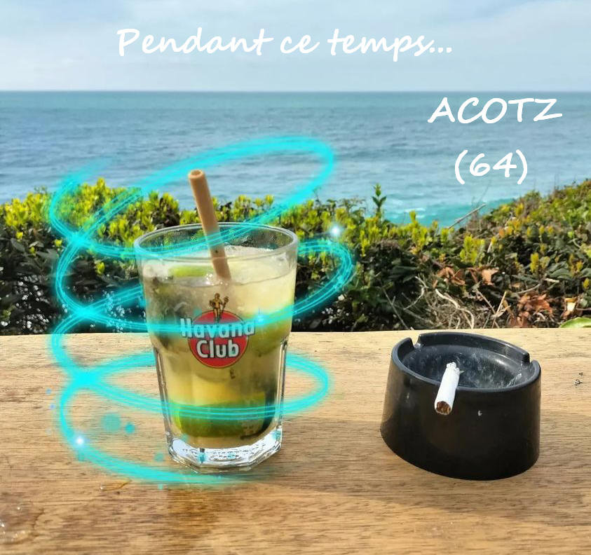 bibam mojito