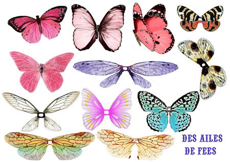 AILES_DEFEES