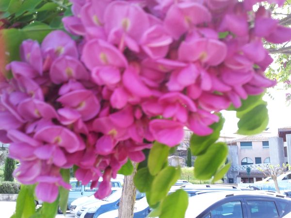20130512_160857