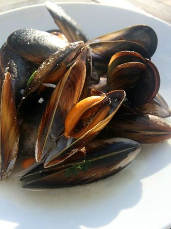 Moules au roquefort recettes OEUF COCOTTE AU ROQUEFORT