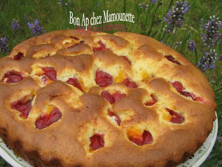 Gâteau aux prunes rougeâtres sauvages de juillet 007