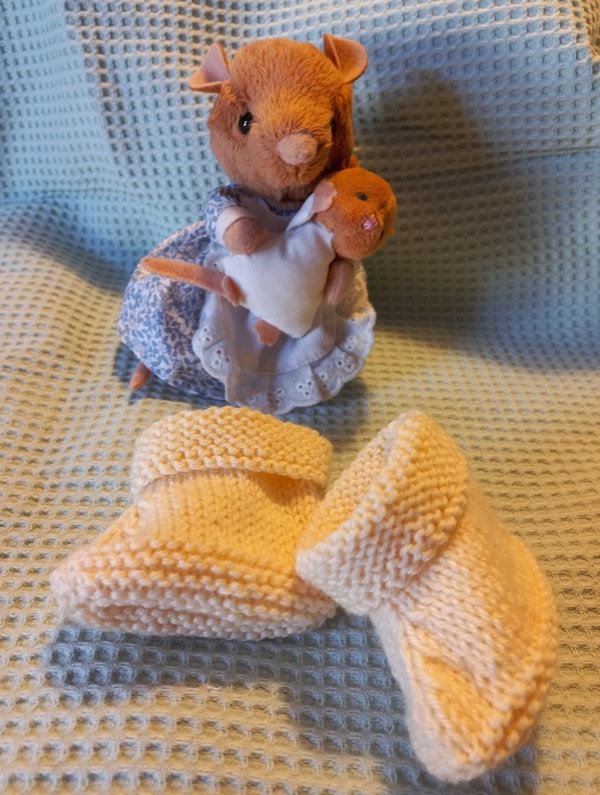 20230314 chaussons