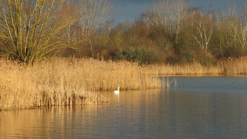 IMG_7508 - Copie
