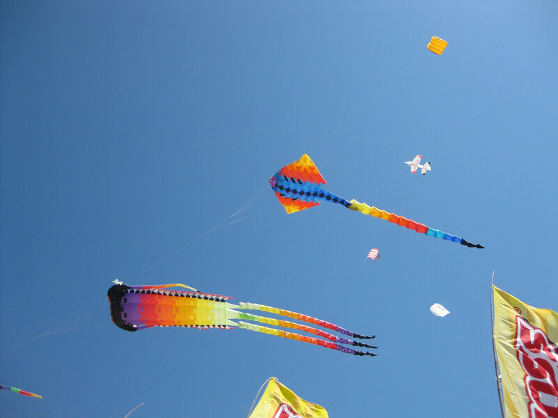 kites-344654_1920