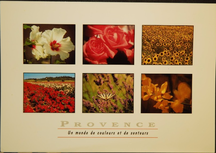 Provence, un monde de couleurs et de senteurs 2